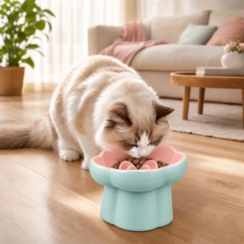 Vista 8 de Raised Slow Feeder Cat Bowl,Ceramic Elevated and Titled Cat Bowl Blue/Pink