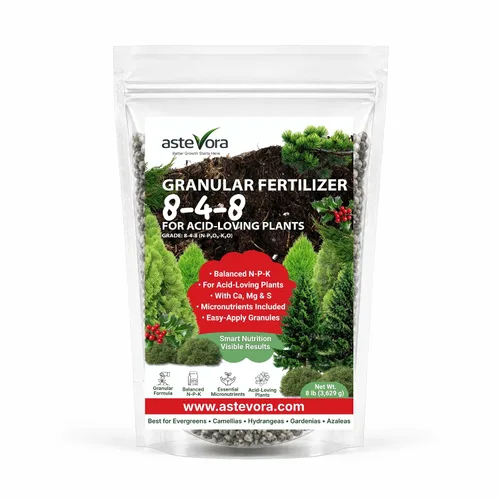 Vista 103 de 10-10-10 Fertilizante para plantas de liberación lenta - 10 10 10 Fertilizante granular multiusos de jardín para verduras, tomate, arborvitae
