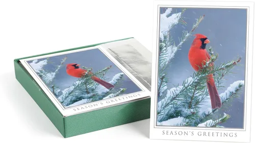 Vista 10 de Canopy Street Masterpiece Árboles contemporáneos con papel de oro para tarjetas festivas / 15 tarjetas de Navidad modernas en caja con sobres