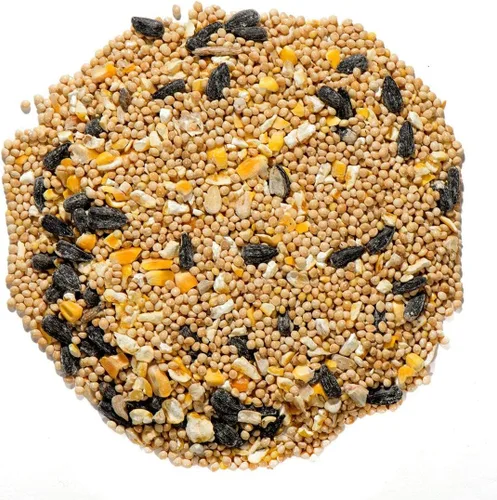 Vista 3 de Nature's Nuts Alimento prémium para aves silvestres (sin milo) - 10 libras