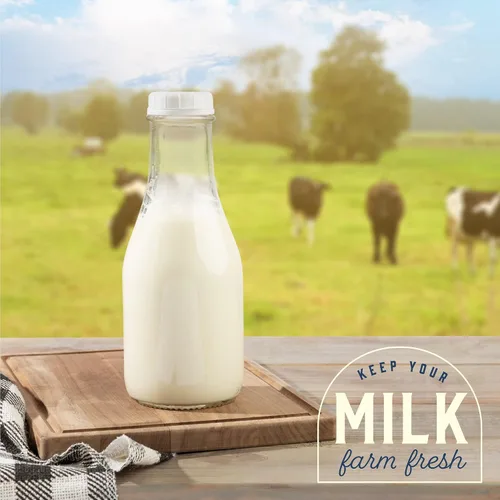 Vista 7 de kitchentoolz Botella de leche redonda de vidrio de 32 onzas con tapas, recipiente de leche perfecto para refrigerador, jarra de leche redonda