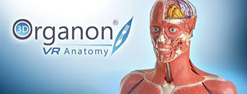 Vista 10 de 3D Organon VR Anatomy - Instant Access