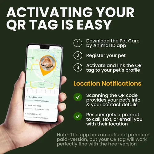 Vista 4 de BRONZEDOG Collar de cuero para perro con etiqueta de identificación QR, collares básicos para mascotas pequeños mini, gatos, cachorros