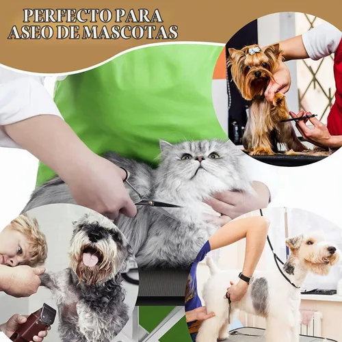 Vista 7 de Mesa hidráulica de peluquería para perros pequeños/grandes, mesa profesional de peluquería de mascotas de servicio pesado con brazo superior Blanco