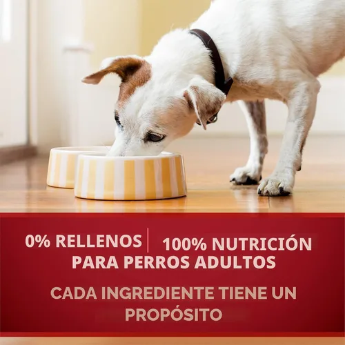 Vista 6 de Purina ONE Alimento húmedo para perros con alto contenido de proteínas True Instinct Cortes tiernos en salsa de comida para perros con carne de res