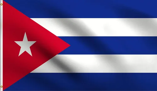 Vista 207 de DMSE - Bandera nacional beninesa beninesa de la República de África Occidental, 2 x 3 pies, 100 % poliéster, 100 % poliéster, resistente a los rayos