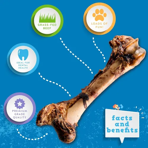 Vista 3 de Jack&Pup Mammoth - Huesos grandes para perros grandes, huesos de carne de fémur de 15 pulgadas para masticadores agresivos, hueso de perro gigante