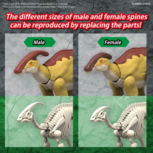 Vista 9 de Bandai Hobby - Plannosaurus - #09 Parasaurolophus Dinosaur Model Kit