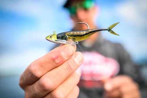 Vista 8 de Berkley PowerBait The Champ Minnow - Cebo suave de pesca, calabaza verde, 3.4 pulgadas