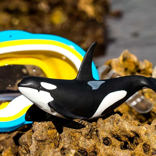 Vista 4 de Safari Ltd. Figura de orca Wild Safari Sea Life - Figura realista de modelo de ballena asesina de 6 pulgadas, juguete educativo para niños y niñas a