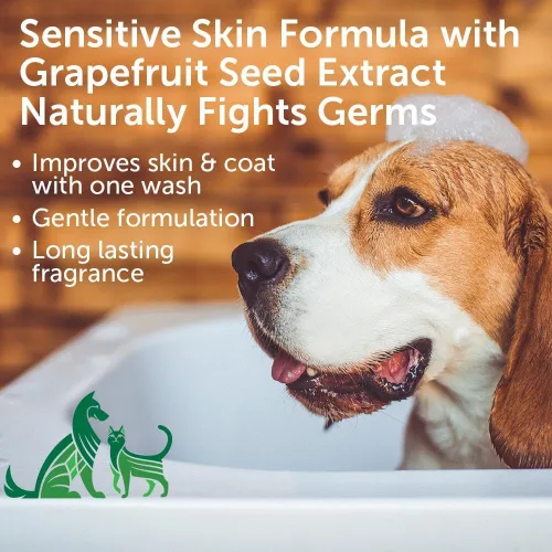 Vista 2 de Nootie - Champú para mascotas para pieles sensibles - Revitaliza la piel seca y el pelaje - Ingredientes naturales - Champú suave para perros