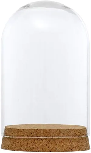 Vista 5 de FLAMEER 10 piezas de 3.1x4.7 in cubierta de cúpula de cristal transparente Cloche Bell Jar Suculenta Terrarios con base de corcho de madera