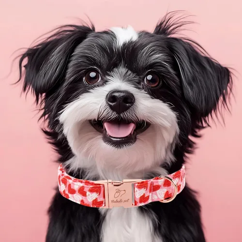Vista 400 de Collar para perros del 4 de julio, collares patrióticos azules para cachorros y perros pequeños, ligero y ajustable 1776 collares para cachorros