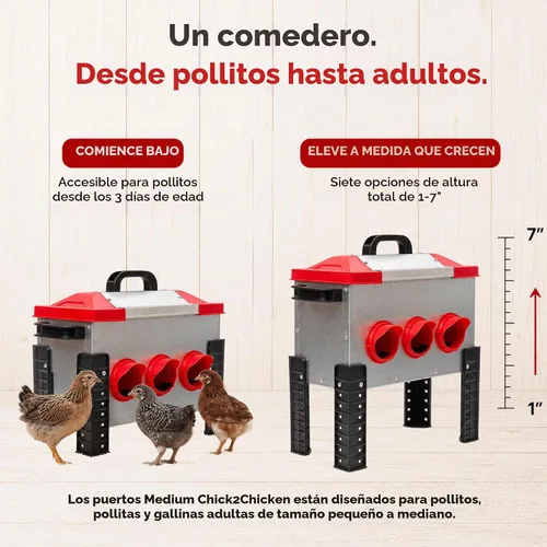 Vista 3 de RentACoop - Comedero metálico para aves de corral de 15 libras con 6 puertos y patas ajustables