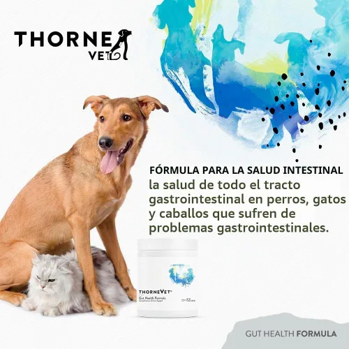 Vista 2 de ThorneVET Fórmula de salud intestinal: apoyo gastrointestinal para perros, gatos y caballos, 180 cucharadas