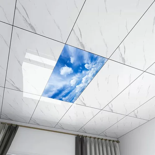 Vista 7 de 2 cubiertas de luz fluorescente, hermosas nubes, escudo magnético de luz para aula, oficina, hogar, 2 x 4 pies Color: 14