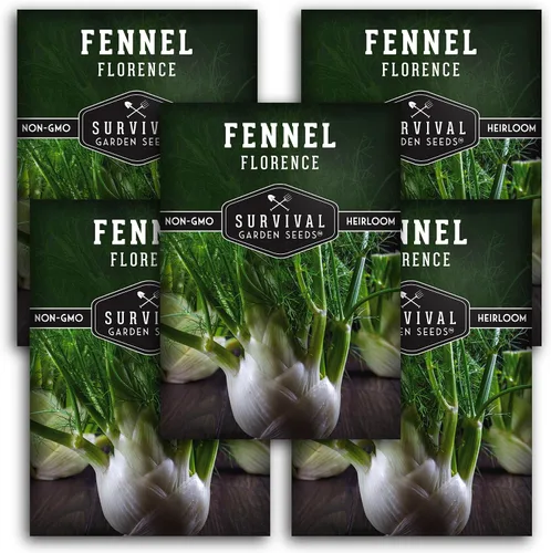 Vista 12 de Florence - Semillas de hinojo para plantar, variedad de bulbos italianos reliquia con sabor dulce crujiente, semillas de huerto sin OMG, semillas