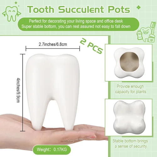 Vista 2 de 2 macetas en forma de dientes, de cerámica dental, estilo moderno, macetas de cactus blanco, para bonsái, maceta pequeña y bonita para suculentas