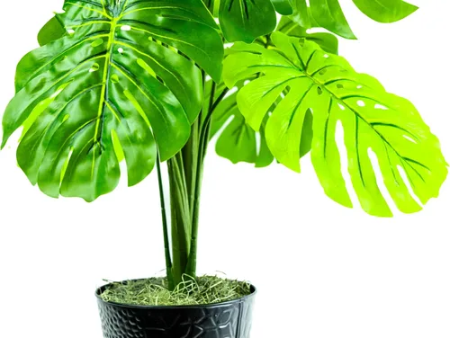 Vista 8 de LCG Florals Planta Monstera artificial de 3 pies, en maceta, planta de esquina falsa grande para interiores, vegetación sintética realista