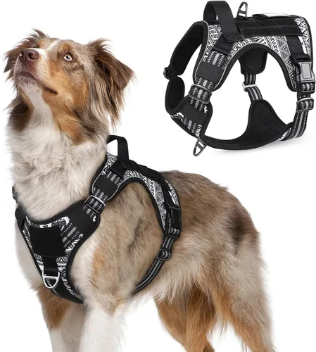 Vista 69 de rabbitgoo Arnés táctico para perros pequeños, chaleco de servicio militar sin tirones con asa y Molle, de fácil control para entrenar y caminar