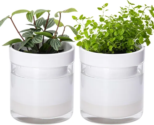 Vista 11 de Phoenix Vine Maceta de riego automático de 4 pulgadas, maceta de arcilla de terracota con depósito de vidrio para plantas de interior, hierbas