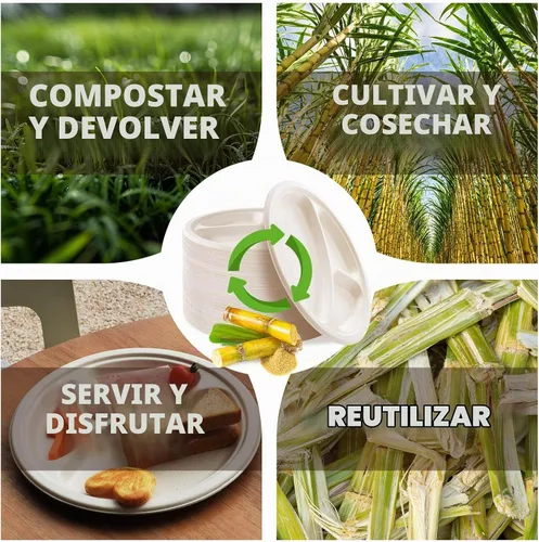 Vista 3 de Platos de papel compostables de 3 compartimentos, 125 unidades, 10 pulgadas, bandejas divididas desechables resistentes para el almuerzo, platos