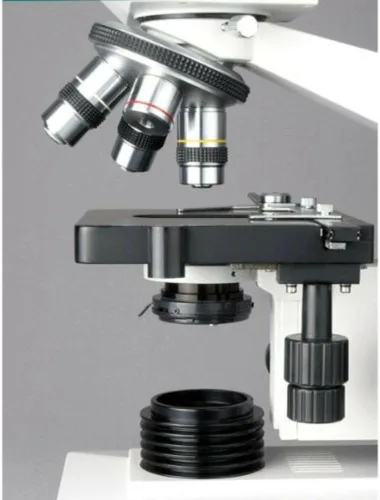Vista 6 de AmScope Microscopio binocular compuesto B490B-LED, oculares WF10x y WF20x, aumento 40X-2000X, Brightfield, iluminación LED, condensador Abbe, etapa