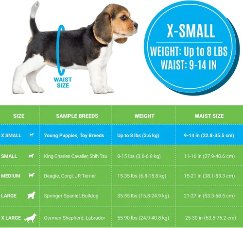 Vista 2 de Bodhi Dog Pañales desechables para perros machos, superabsorbentes, a prueba de fugas, ajuste ajustable, diseño cómodo, control avanzado de humedad