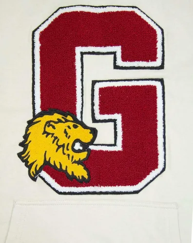 Vista 6 de Harry Potter Hogwarts Gryffindor G Patch Logo Premium Sudadera con capucha M, Negro, M