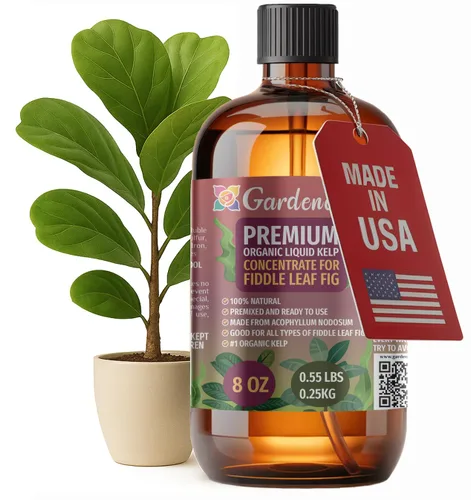 Vista 14 de GARDENERA Superalimento orgánico prémium de algas marinas y algas marinas para plantas AROID - 32 oz - Concentrado de fertilizante líquido de algas