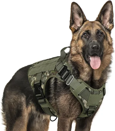 Vista 38 de rabbitgoo - Arnés táctico para perros pequeños, arnés resistente para mascotas con asa, chaleco de servicio sin tirones para razas pequeñas, chaleco
