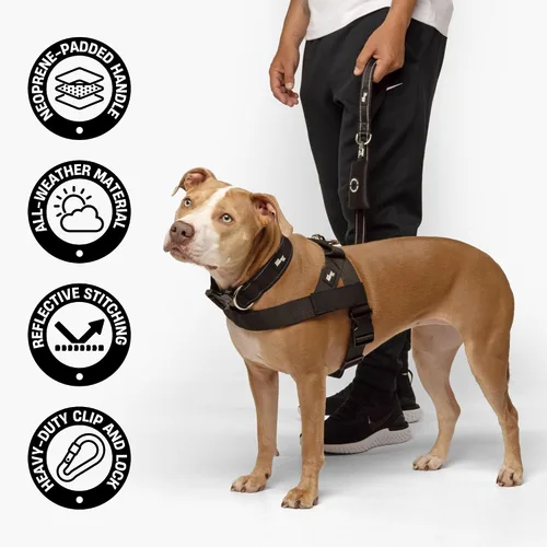 Vista 3 de Dog Friendly Co. Correa clásica para perro Sin tensiones, resistente a los golpes, evita sacudidas, mantiene el control Material impermeable