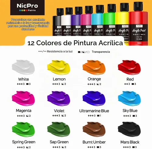 Vista 4 de Nicpro Juego de pintura acrílica a granel grande de 12