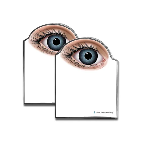 Vista 12 de Notas Adhesivas de Anatomía