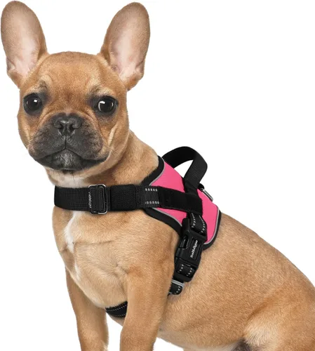 Vista 21 de rabbitgoo Arnés para perro pequeño, chaleco fácil de poner para mascotas con una hebilla, arnés de servicio ajustable sin tirones con anillo en D