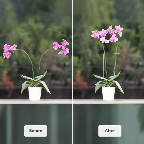Vista 6 de Paquete de 2 estacas para plantas Soportes para plantas y flores altas Estacas verdes para jardín Ayuda a que tus flores crezcan Jaulas