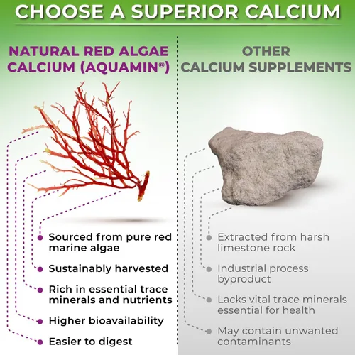 Vista 2 de Calcio a base de plantas 500mg (Aquamin) – Calcio vegano, magnesio, zinc y D3 con vitamina K2 y cúrcuma orgánica – Mejora la salud y la fuerza