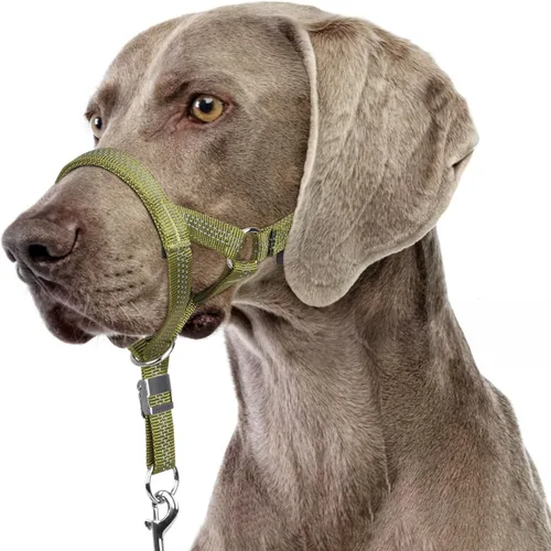 Vista 10 de BARKLESS Collar resistente sin tirones para perros medianos y grandes, suave y reflectante con enlace de seguridad, correa de bozal de entrenamiento