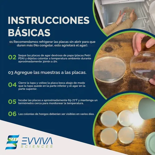 Vista 3 de Evviva Sciences - Platos de petri de agar dextrosa de patata prevertida (PDA), para hongos, kit de prueba casera o para proyectos de ferias