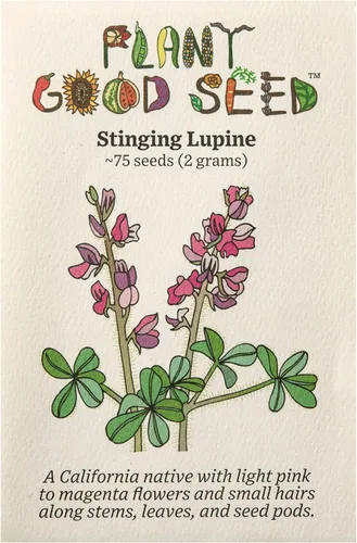 Vista 4 de Plant Good Seed Arroyo Blue Lupine Seeds for Planting: California Native Wildflower, Dark Purple Blossoms - Paquete de 60 semillas