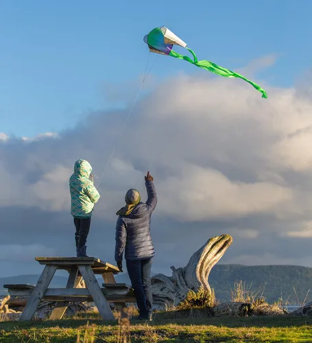 Vista 5 de Prism Kites Pocket Flyer - Cometa de una sola línea fácil de volar - Listo para el vuelo, no requiere montaje