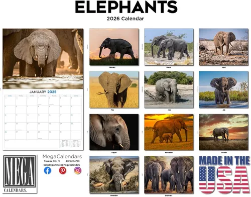 Vista 458 de Calendario de grises africanos 2025 2026 – Planificador mensual de pared de aves africanas – 12 x 18 pulgadas (abierto), calendario de pared
