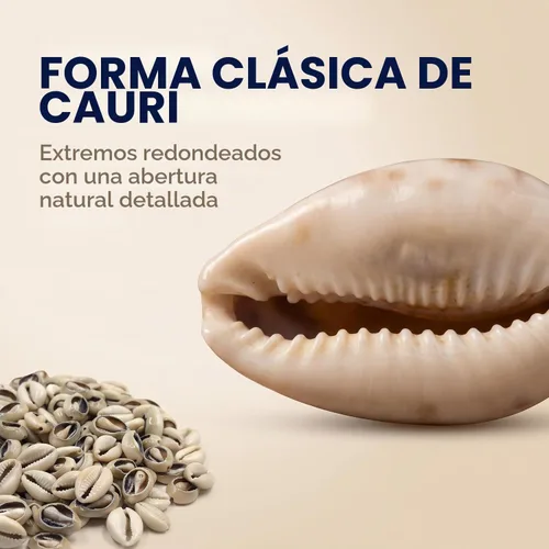 Vista 3 de 100 cuentas de conchas de cauri naturales blancas y Lvory ovaladas para playa, conchas africanas para hacer joyas para el cabello, manualidades