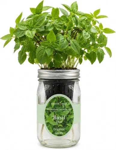 Vista 8 de Kit de Cultivo Hidropónico, Kit de Inicio de Jardín de Hierbas en Frasco Mason con Autoriego para Interiores, Jardín de Hierbas para Alféizar