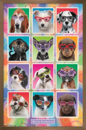Vista 14 de Trends International Keith Kimberlin - Póster de pared con diseño de cachorros, gafas de sol, 14.725 x 22.375 pulgadas, versión enmarcada de madera