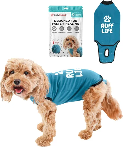 Vista 23 de Traje de Recuperación Quirúrgica BellyGuard para Perros, Mameluco para Perros para Cuidado Post-Operatorio, Ropa de Recuperación para Perros Hembra