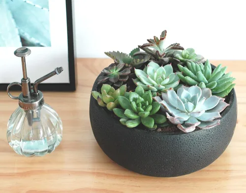 Vista 2 de Maceta para suculentas, 8.9 pulgadas, estilo moderno, redondo, de cemento, suculenta, soporte para cactus (negro)