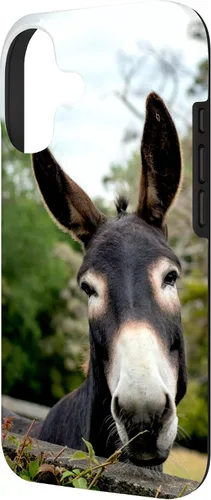 Vista 2 de Funda Donkey para iPhone 17