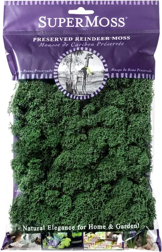 Vista 45 de Super Moss (23164) Musgo de reno preservado, fucsia, 2 onzas Musgo preservado suave, decoración del hogar, manualidades y terrarios, diseño