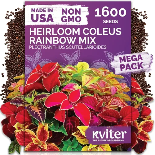 Vista 47 de KVITER 15,000 semillas de rosa musgo mixta para plantar (Portulaca grandiflora) – Cubierta de suelo con floración de reliquia, semilla de Portulaca